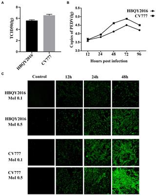 Differences in cytokines expression between Vero cells and IPEC-J2 cells infected with porcine epidemic diarrhea virus